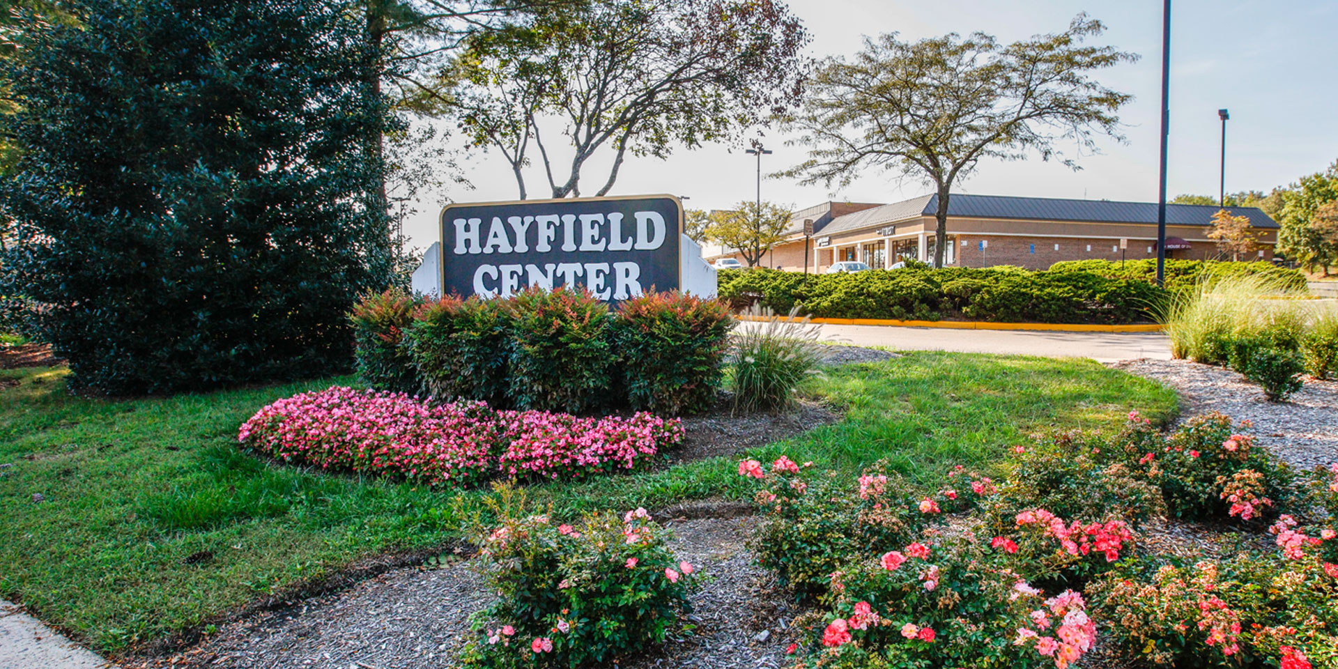 Hayfield shopping center construction daxselection